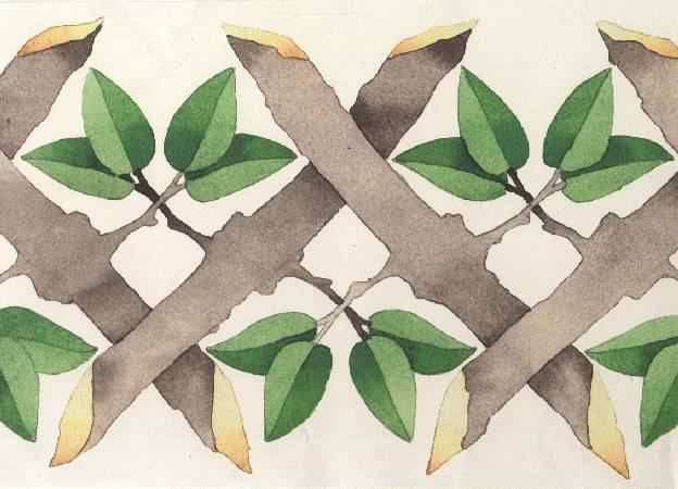 FREGIO.jpg (27257 byte)