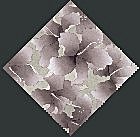 PATTERN6.jpg (5214 byte)