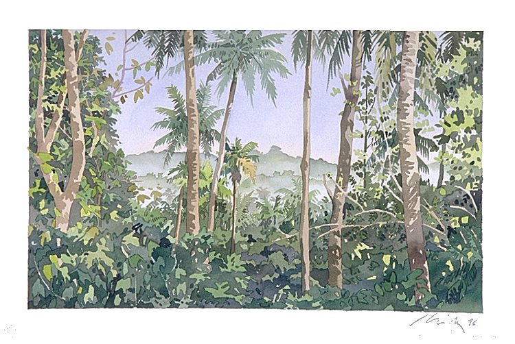 jungle.jpg (116219 byte)